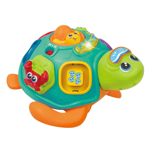 WINFUN - TORTUE BABY