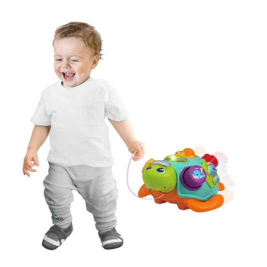 WINFUN - TORTUE BABY